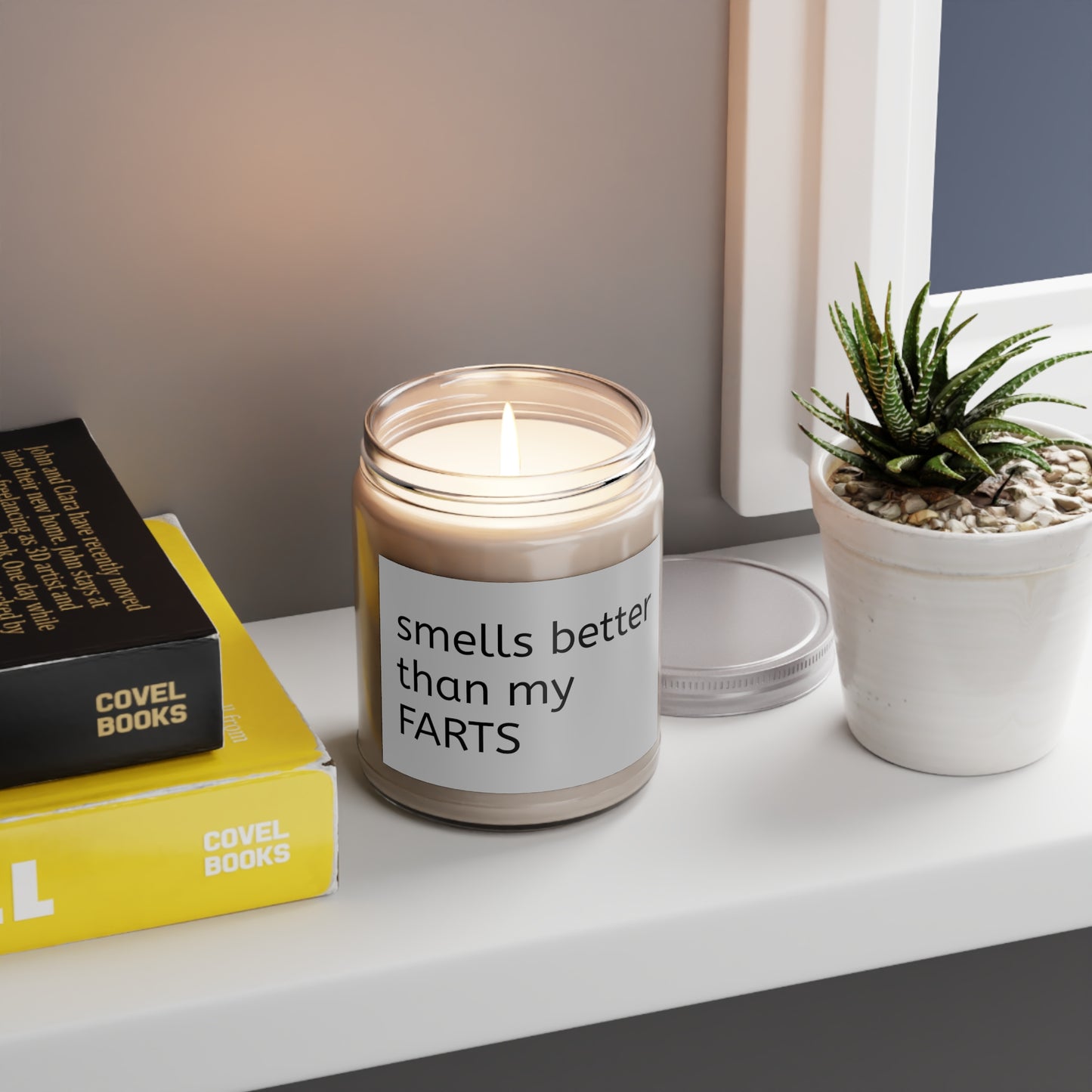 better than my farts Scented Candles, 9oz